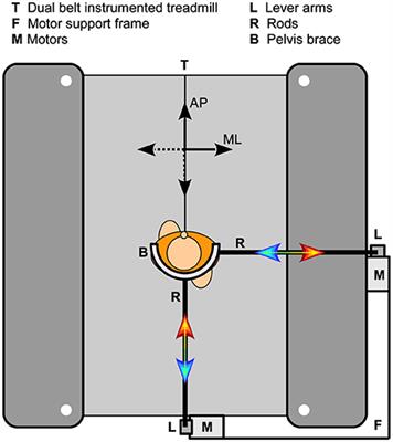 Foot Placement Modulation Diminishes for Perturbations Near Foot Contact